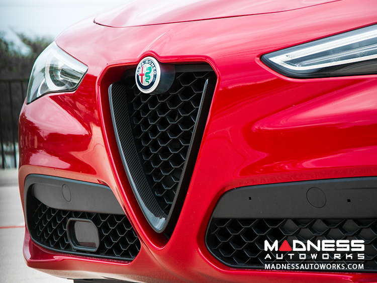 Alfa Romeo Stelvio Front V Shield Grill Frame Carbon Fiber Feroce